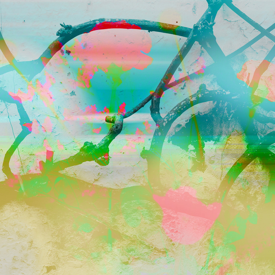 A3EF2F39 84E5 487A 9CA6 4F4A7F2C8186_1_105_c.jpeg
