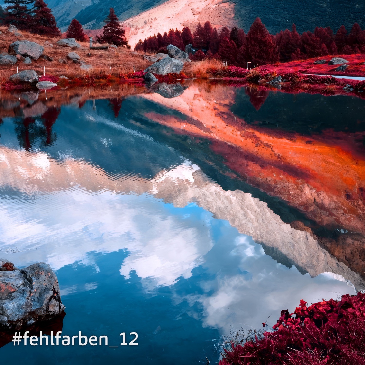 %23fehlfarben 8