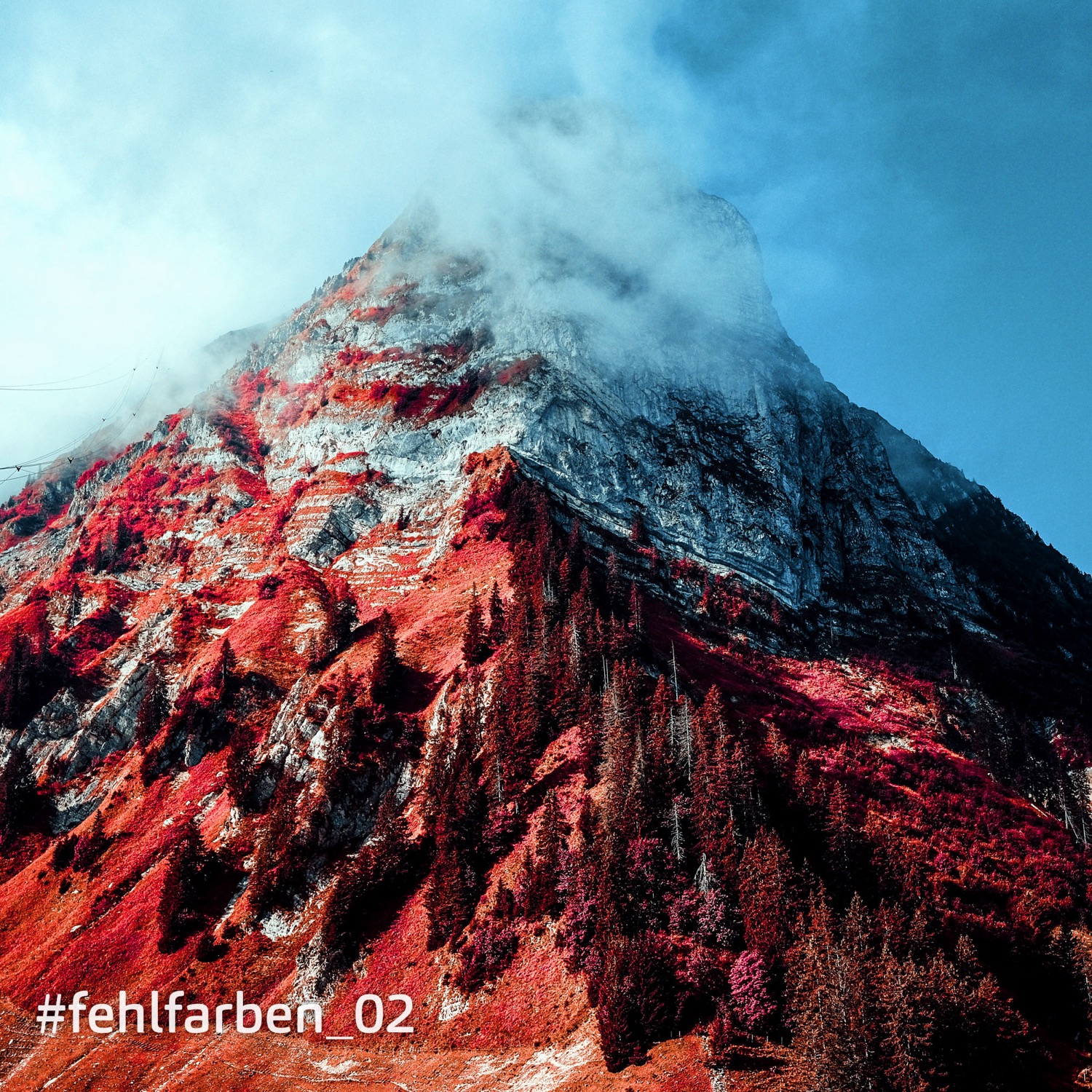 %23fehlfarben 2